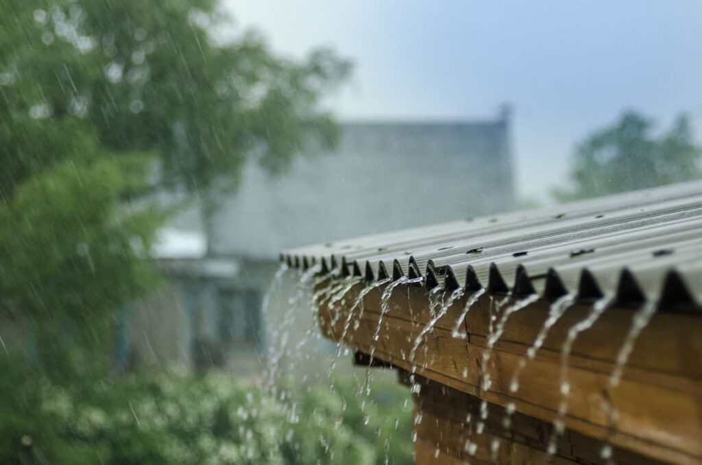regn
