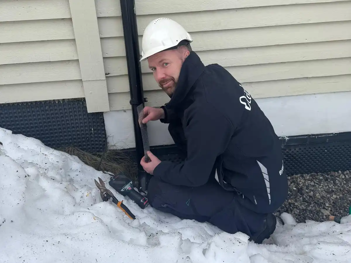 Ocab skadedyrhåndtering